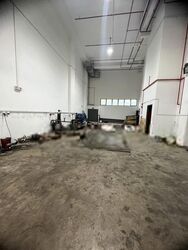Platinum@pioneer (D22), Factory #453936391